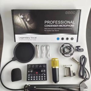 Professional Condenser Microphone – Studio Recording & Streaming Mic