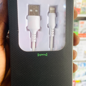 iPhone USB Data Cable (Lightning Cable)